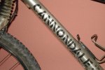 bicicleta 9 - 7 - 2010 016.jpg