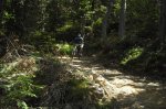 Andorra (11).JPG