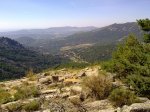 21072010096.jpg