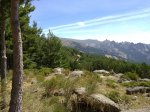 21072010107.jpg