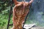 Cabrito Teran 006.jpg