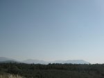 PICT2363.jpg