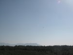 PICT2365.jpg