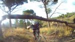 chema07.jpg