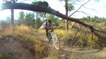 chema06.jpg