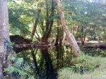 DSC02375.jpg