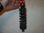 DSC01184.jpg