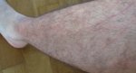 DSC01618.jpg