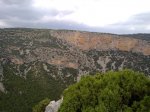 22072010875.jpg