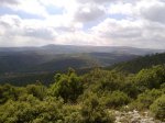 22072010869.jpg
