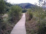 P1150_23-07-10.jpg