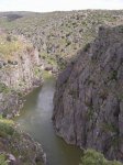 Foto0197.jpg