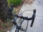 DSC01698.jpg