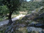 24072010194.jpg