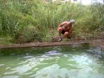 salto.jpg