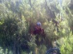 24072010005.jpg
