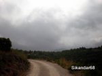 P7240010.JPG