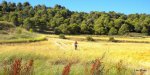 DSCN1785.jpg