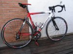 carrera1.jpg