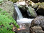 IMG_0310.JPG