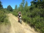 25072010013.jpg