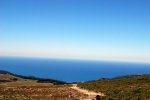 DSC_0085.JPG