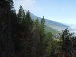 DSCF7647.jpg