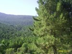PIC_0029.jpg
