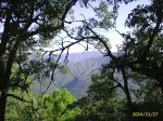 PIC_0011.jpg