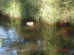DSC04286.jpg