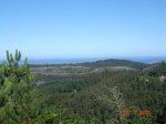 DSC04292.jpg