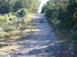 DSC04291.jpg