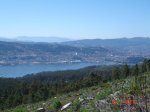 DSC04298.jpg