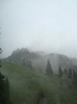 DSC06469.jpg