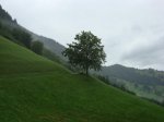DSC06445.jpg