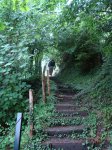 DSC06439.jpg