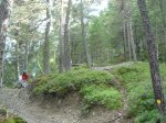 DSC08316 (Large).JPG