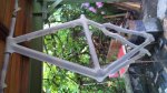 DSC00283.jpg