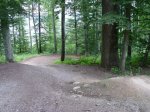 P1000277.jpg