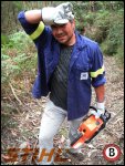 stihl.jpg