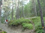 DSC08316 (Medium).JPG