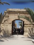 TABARCA 2010 020.jpg