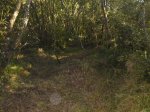 DSC00178.jpg
