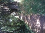 IMG_1168.jpg