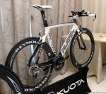 kuota factor.jpg