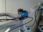 28072010151.jpg