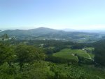 DSC00054.jpg