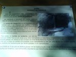 DSC00073.jpg