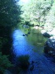 DSC00075.jpg