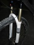 DSC00559.jpg